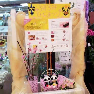 ３月３日はひなまつり｜「フローリスト　カトレア」　（茨城県水戸市の花キューピット加盟店 花屋）のブログ