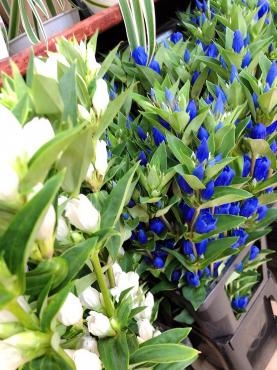 涼しげな青｜「フローリスト　カトレア」　（茨城県水戸市の花キューピット加盟店 花屋）のブログ