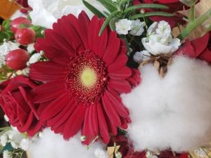 さ、さむい…｜「フローリスト　カトレア」　（茨城県水戸市の花キューピット加盟店 花屋）のブログ