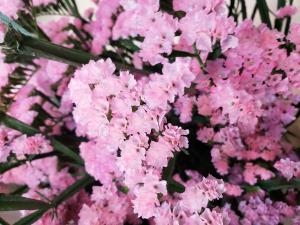 春色！｜「フローリスト　カトレア」　（茨城県水戸市の花キューピット加盟店 花屋）のブログ