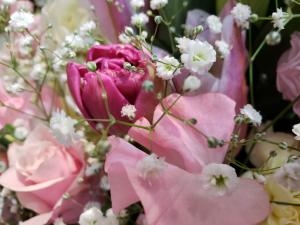 春のお花｜「フローリスト　カトレア」　（茨城県水戸市の花キューピット加盟店 花屋）のブログ