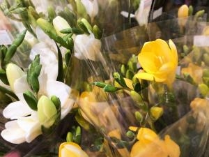 入荷しました(*'▽')｜「フローリスト　カトレア」　（茨城県水戸市の花キューピット加盟店 花屋）のブログ