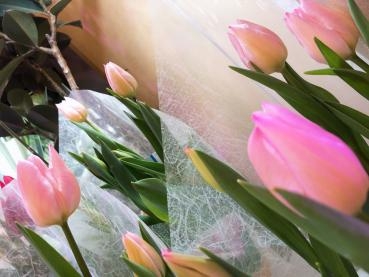 歌われている花(*‘ω‘ *)｜「フローリスト　カトレア」　（茨城県水戸市の花キューピット加盟店 花屋）のブログ
