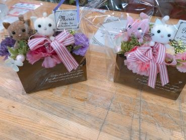 ネコちゃん！！！｜「フローリスト　カトレア」　（茨城県水戸市の花キューピット加盟店 花屋）のブログ