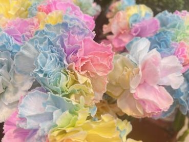 レインボー！！｜「フローリスト　カトレア」　（茨城県水戸市の花キューピット加盟店 花屋）のブログ