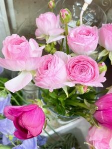 春の花が！！｜「フローリスト　カトレア」　（茨城県水戸市の花キューピット加盟店 花屋）のブログ