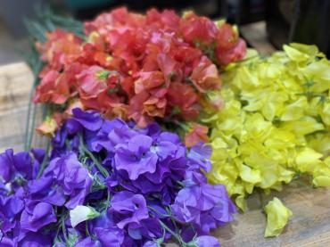 いい香り(*´ω｀*)｜「フローリスト　カトレア」　（茨城県水戸市の花キューピット加盟店 花屋）のブログ